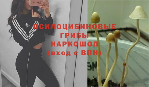 мефедрон Алексеевка