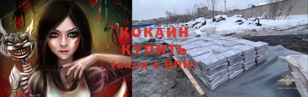 соль ск Абаза