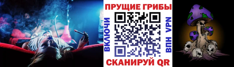 Галлюциногенные грибы Psilocybe Новокубанск