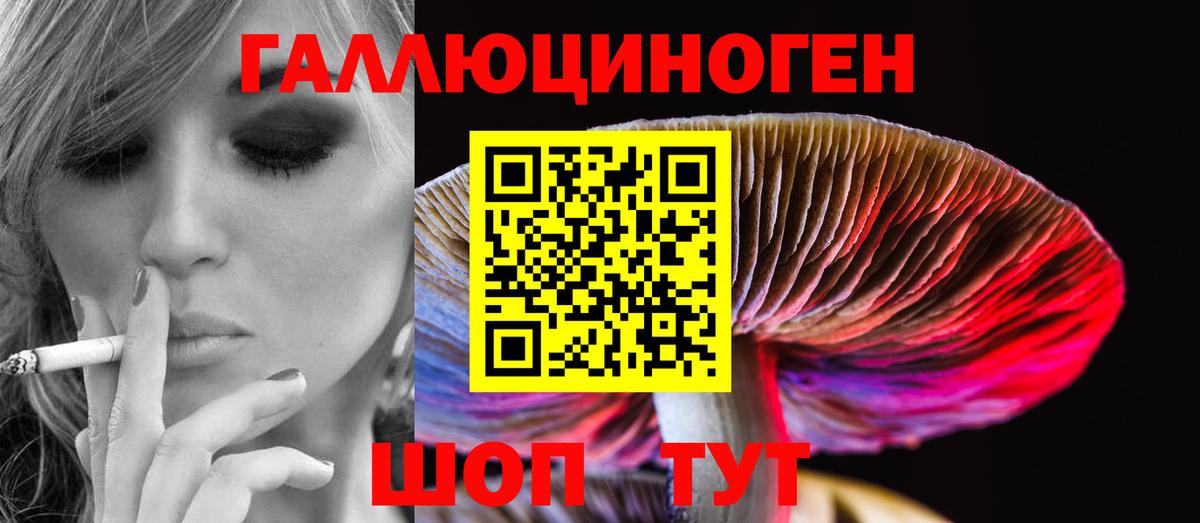 Галлюциногенные грибы Magic Shrooms  Вход с VPN  Новокубанск 