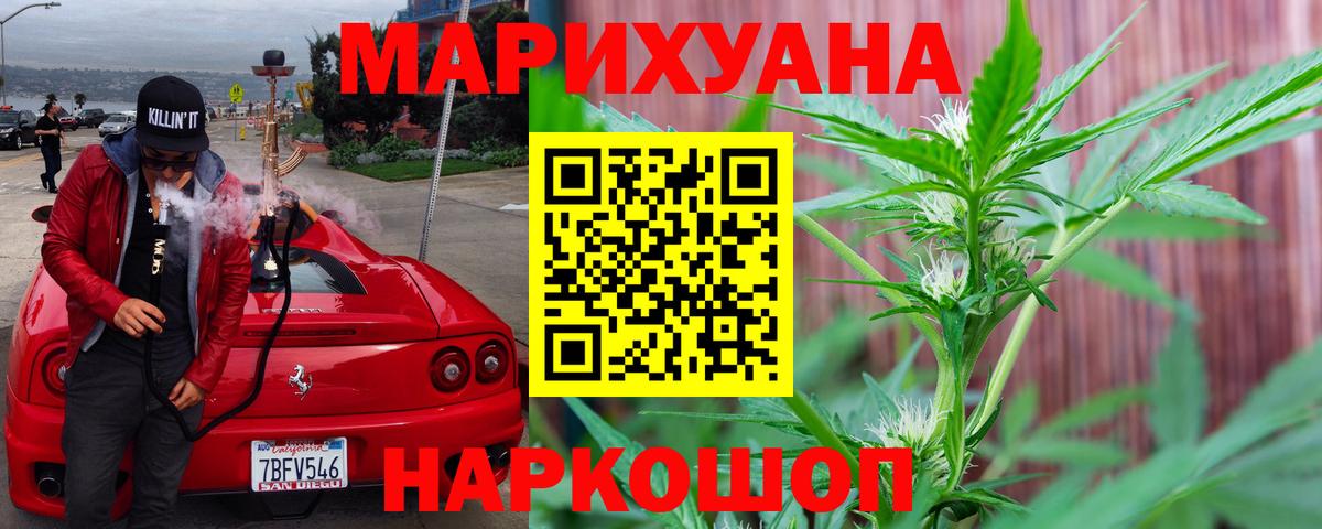 Бошки Шишки планчик Новокубанск